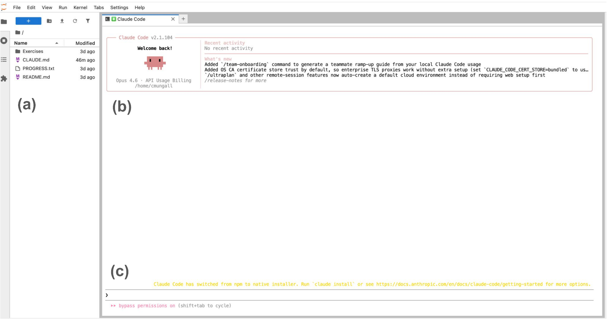 JupyterLab with the file browser on the left and a Claude Code session in a terminal on the right